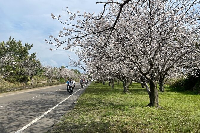 One Day E Bike Round Tour in Sakurajima - Conclusion