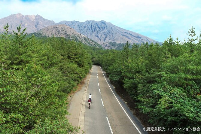 Historical Hill Climb E-bike Tour to Sakurajimas Peak - Key Takeaways