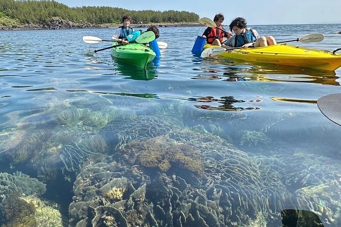 Half Day Kayak Adventure in Sakurajima Seascapes - Booking Information