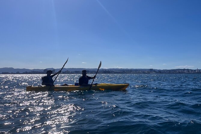 Kayak and Picnic Adventure in Sakurajima - What To Expect