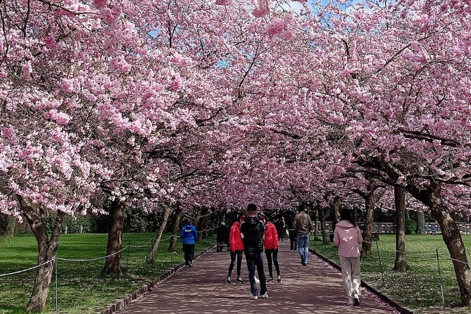 4 Hour Private Cherry Blossom Sakura Experience in Nagasaki - Key Takeaways