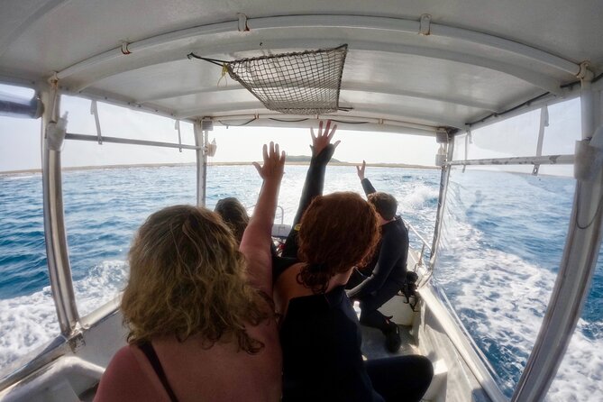 NAHA Snorkeling Boat Trip (Afternoon Half-day ) - Reviews and Ratings