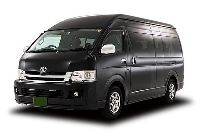 Airport Transfer! Center of Naha to Naha Airport (OKA) - Additional Info