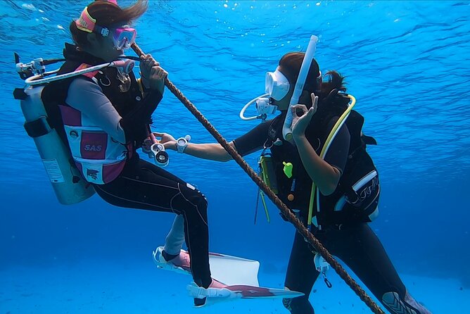 Naha: Full-Day Introductory Diving & Snorkeling in the Kerama Islands, Okinawa - Booking Information