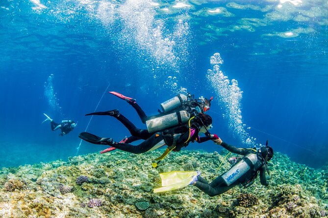 Naha: Full-Day Introductory Diving & Snorkeling in the Kerama Islands, Okinawa - Additional Information