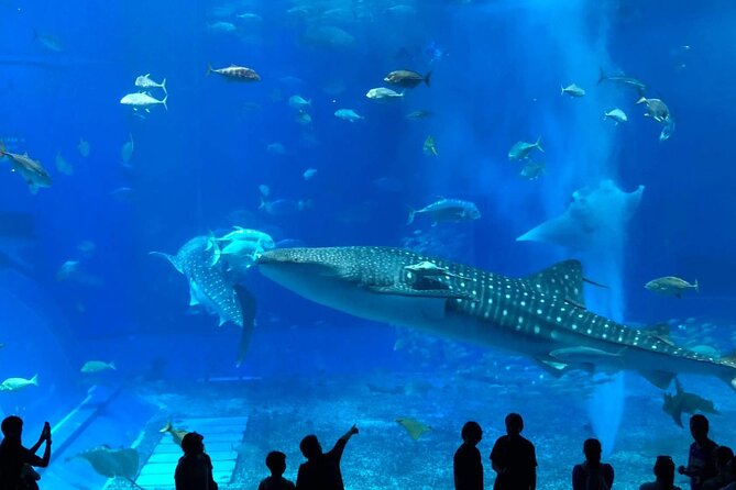 American Village &Okinawa Churaumi Aquarium Tour From Naha/Chatan - Key Takeaways