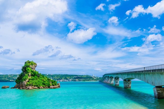 Explore Okinawa With Private Alphard Car Hire With Simple English Driver - Customize Your Okinawa Itinerary