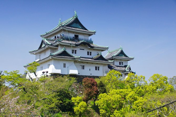 Wakayama Castle Town Walking Tour - Important Reminders