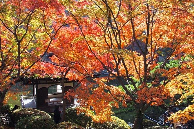 Wakayama Castle Town Walking Tour - Frequently Asked Questions