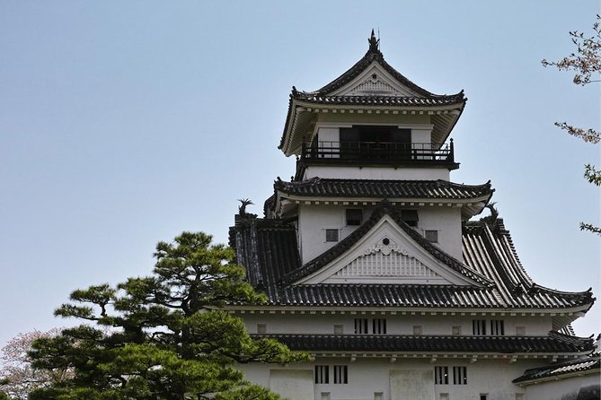 Experience the Energy of Kochi: Sunday Market Tour Includes Kochi Castle - Key Takeaways