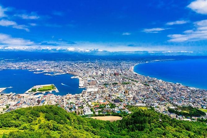 Hakodate Full-Day Private Tour With Government-Licensed Guide - Customizable Itinerary