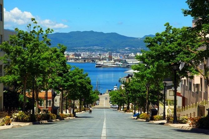 Hakodate Half-Day Private Tour With Government-Licensed Guide - Reviews