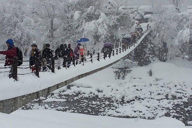 [One-Day Bus Tour Departing From Kanazawa Station] Shirakawa-Go and Gokayama - Two World Heritage Villages Enjoyable Bus Tour - Reviewer Experiences