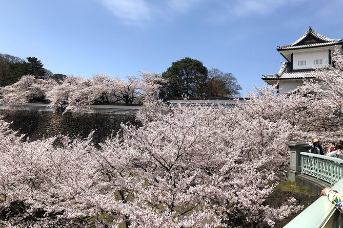 Kanazawa Highlights Tour Including Kenrokuen Garden - Frequently Asked Questions