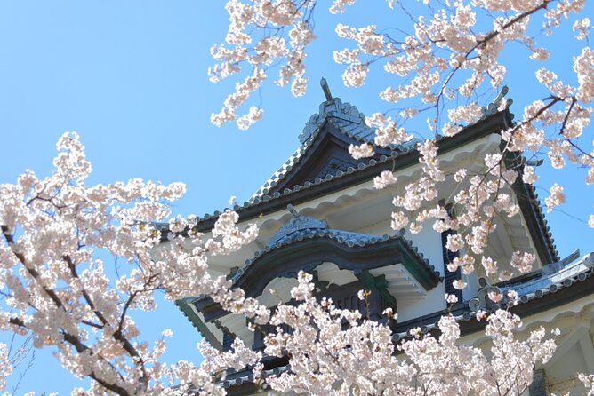 4 Hour Unique Kanazawa Cherry Blossom Sakura Private Experience - Key Takeaways