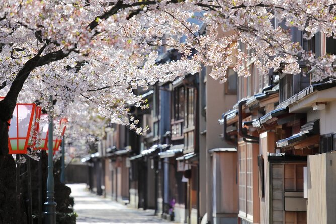 4 Hour Unique Kanazawa Cherry Blossom Sakura Private Experience - Additional Info