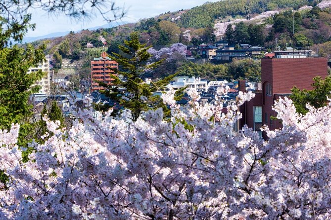 4 Hour Unique Kanazawa Cherry Blossom Sakura Private Experience - Frequently Asked Questions