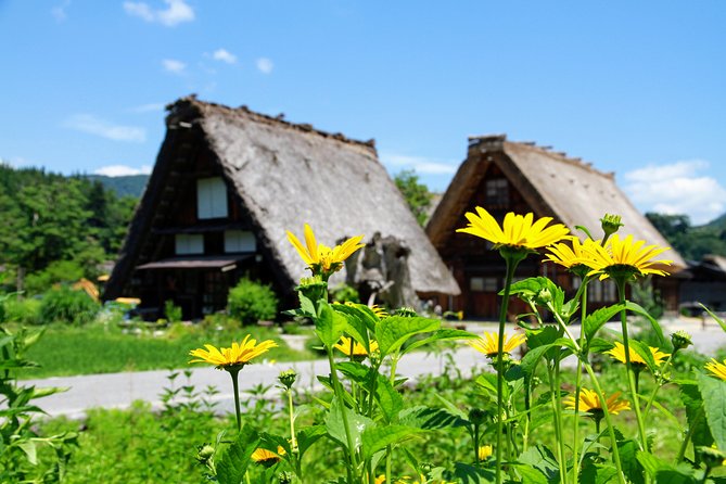 Private Tour of Shirakawago From Kanazawa (Half Day) - Reviews