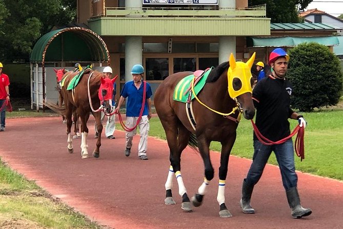 A Tour to Enjoy Japanese Official Gambling (Horse Racing, Bicycle Racing, Pachinko) - Inclusions and Pickup Details