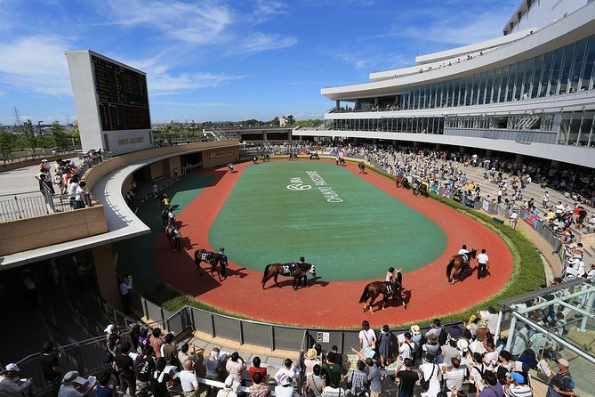 A Tour to Enjoy Japanese Official Gambling (Horse Racing, Bicycle Racing, Pachinko) - Experience Expectations and Reviews