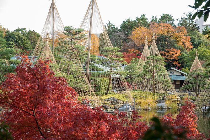 Guided Half-day Tour(AM) to Atsuta Shrine and Shirotori Garden in Nagoya - Cancellation Policy