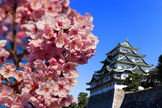 Nagoya Private Tours With Locals: 100% Personalized, See the City Unscripted - Price and Booking