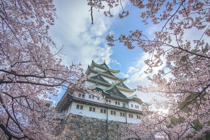 Private & Unique Nagoya Cherry Blossom Sakura Experience - Price and Booking