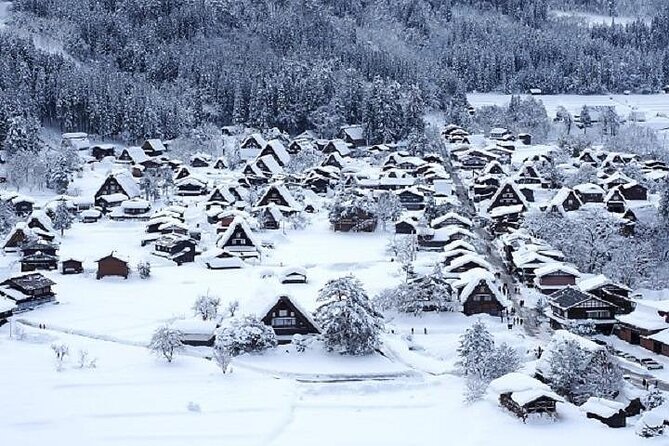 Shirakawago and Takayama 2 Days Tour From Nagoya - Meal Inclusions