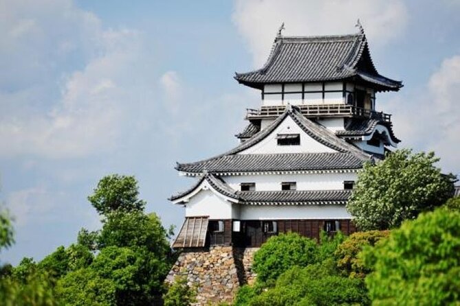 Explore-Castles Tour in Samurai City Aichi Using Local Train - Local Train Experience