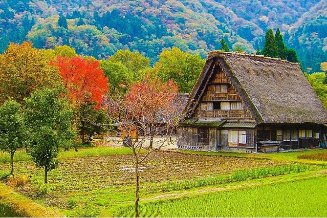 【Private Tour】Shirakawa-Go & Takayama 1-Day Tour From Nagoya - Key Takeaways