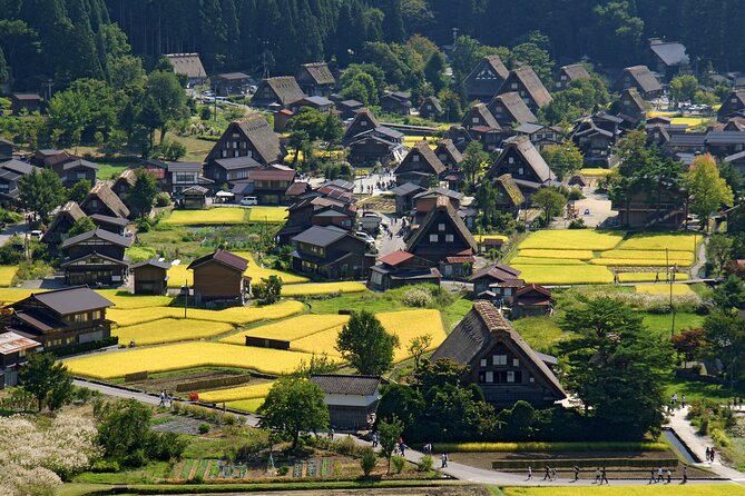 Private Sightseeing Tour to Shirakawago and Takayama From Nagoya - Expectations During the Tour