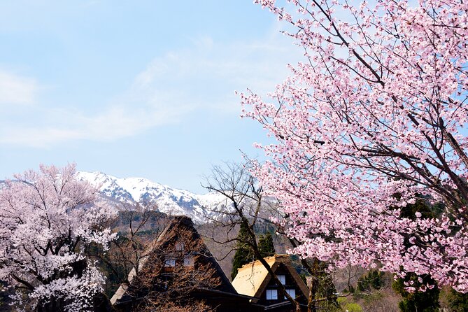 Shirakawa-Go From Nagoya One Day Bus Self-Guided Tour - Conclusion