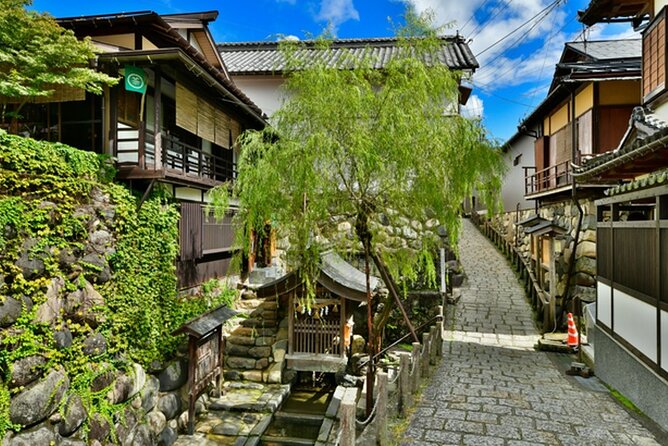 Day Trip for Shirakawago ,Takayama & Gujo Hachiman From Nagoya - Additional Information