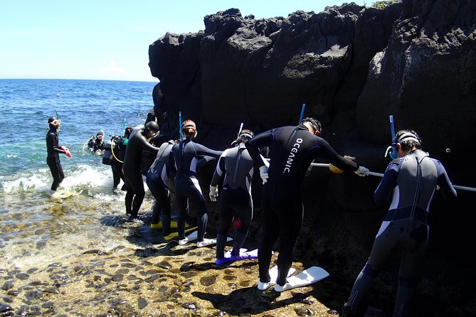 Experience Diving! ! Scuba Diving in the Sea of Japan! ! if You Are Not Confident in Swimming, It Is Safe for the First Time. From Beginners to Veteran Instructors Will Teach Kindly and Kindly. - Key Takeaways