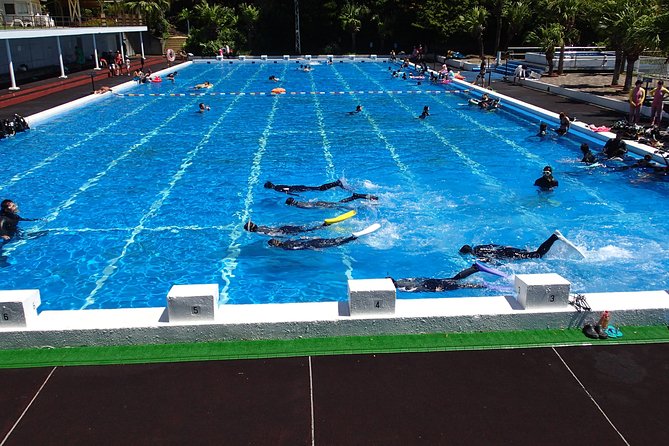 Half-Day Snorkeling Course Relieved at the Beginning Even in the Sea of Izu, Veteran Instructors Will Teach Kindly - Equipment and Attire Provided