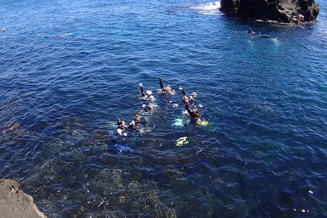 Half-Day Snorkeling Course Relieved at the Beginning Even in the Sea of Izu, Veteran Instructors Will Teach Kindly - Conclusion