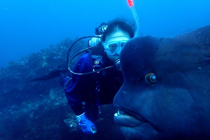 Lets Enjoy Scuba Diving in Izu Oceanic Park Izu Peninsula for Certificate Diver - Frequently Asked Questions