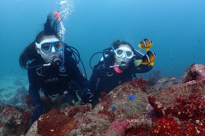 Scuba Diving & Snorkeling - Key Takeaways