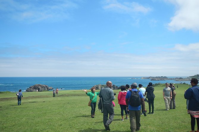 The Best Morning and Michinoku Shiokaze Trail Trekking in the Tanesashi Coast Natural Grassland - Accessibility and Additional Info