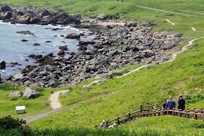 The Best Morning and Michinoku Shiokaze Trail Trekking in the Tanesashi Coast Natural Grassland - Meeting Point Information