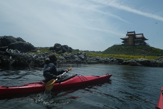 A Sea Kayak Tour of Kabushima Island, the Home of 30,000 Black-Tailed Gulls - Inclusions and Overview