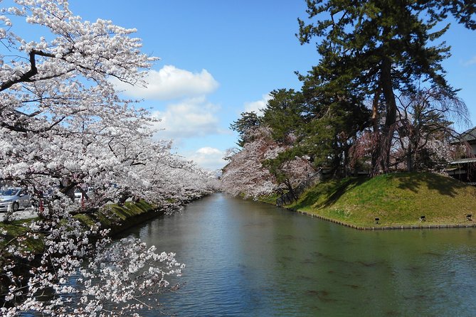 Private Cherry Blossom Tour in Hirosaki With a Local Guide - Traveler Directions