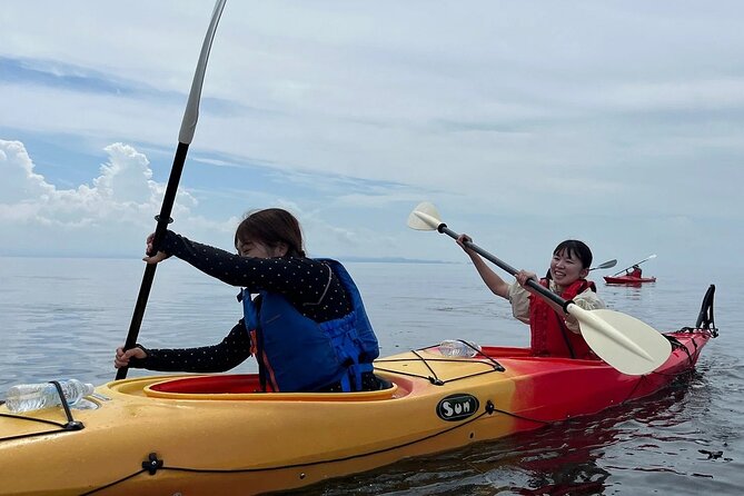 River to Sea Mutsu Bay Kayak Experience - Key Takeaways