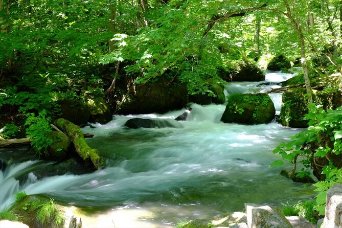 Oirase Gorge and Lake Towada Day Hike With Government-Licensed Guide - Private Vehicle Option Available