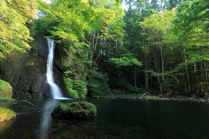 Shirakami Sanchi Day Hike With Government-Licensed Guide - Tour Highlights