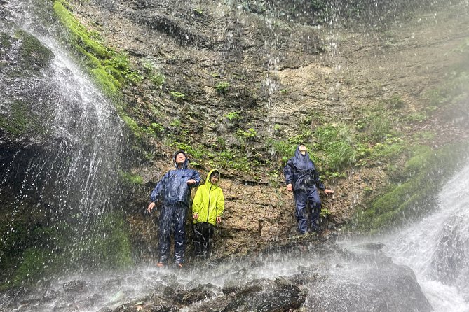 Nature Tour Around Waterfalls That Exudes From the Beech Forest Nishiwaga Town, Iwate Prefecture - Key Takeaways