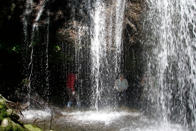 Nature Tour Around Waterfalls That Exudes From the Beech Forest Nishiwaga Town, Iwate Prefecture - Meeting Point Details