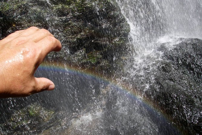 Nature Tour Around Waterfalls That Exudes From the Beech Forest Nishiwaga Town, Iwate Prefecture - Cancellation Policy