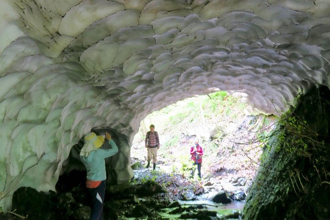 Nature Tour Around Waterfalls That Exudes From the Beech Forest Nishiwaga Town, Iwate Prefecture - Pricing and Reservation