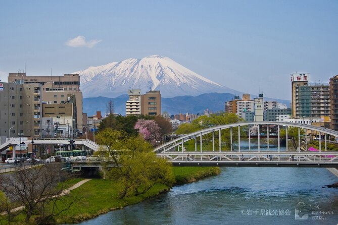 Morioka Town Half Day Walking Shared Tour With Wanko -Soba - Booking Information